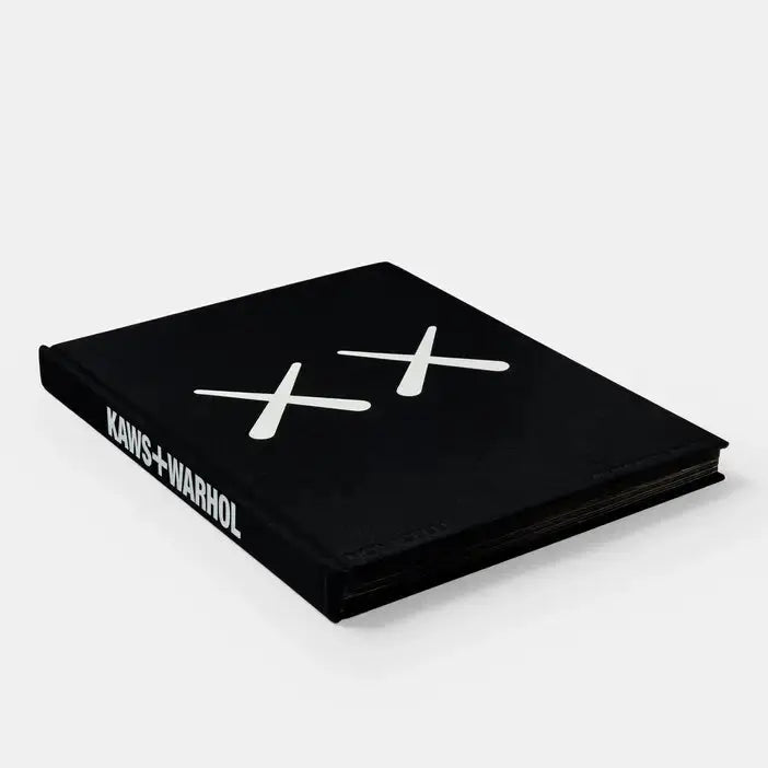 Kaws + Warhol Phaidon