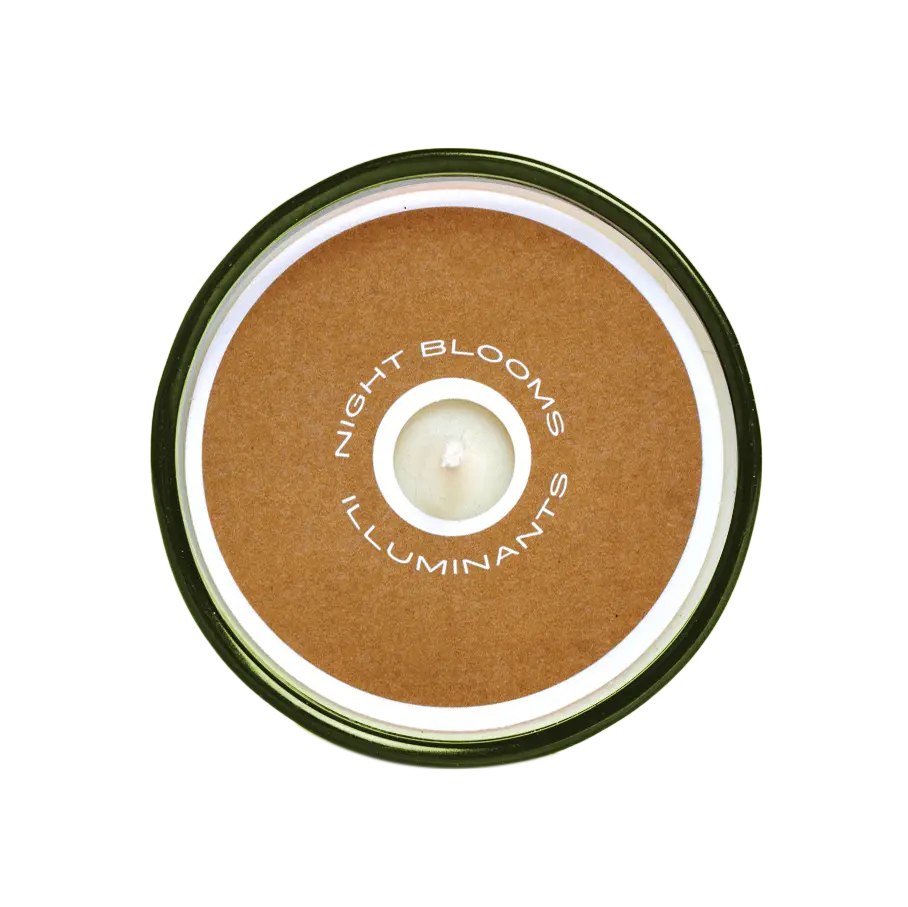 Sespe Pinecone 8 oz. Candle Night Blooms Goods