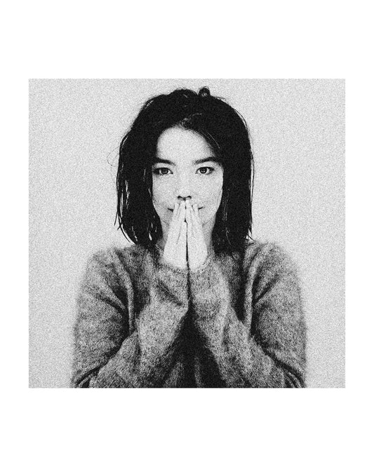 Bjork Debut Album 90s Alternative Music