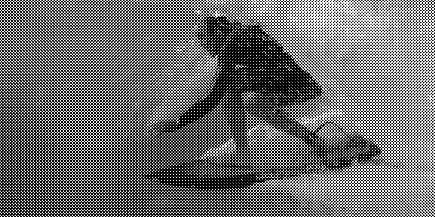 Mollusk Freeman Street Surf Shop