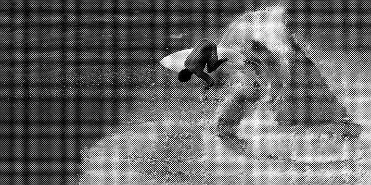 Flying Diamonds of California - Freeman Street Surf Shop