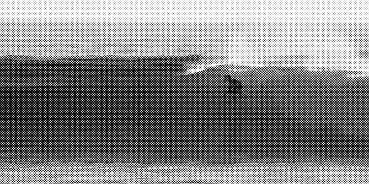 Surfboards-by-Cade Freeman Street Surf Shop