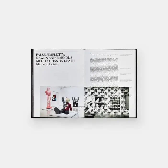Kaws + Warhol Phaidon
