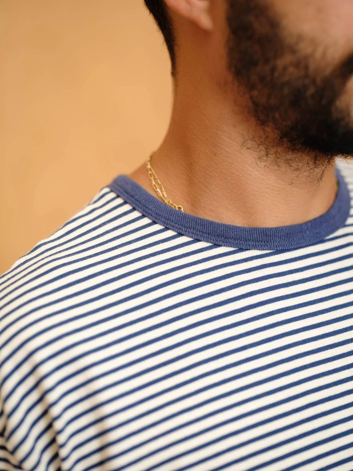 Striped Heavy Tee Mollusk
