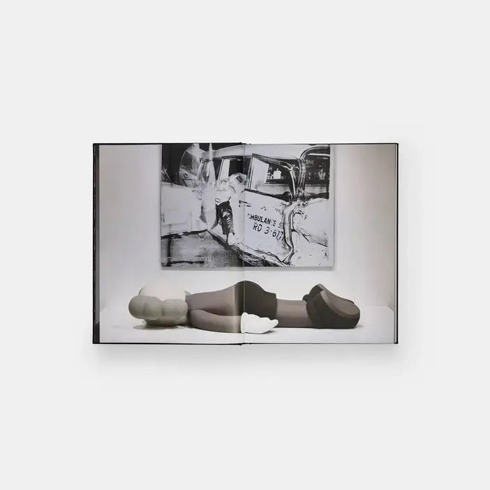 Kaws + Warhol Phaidon