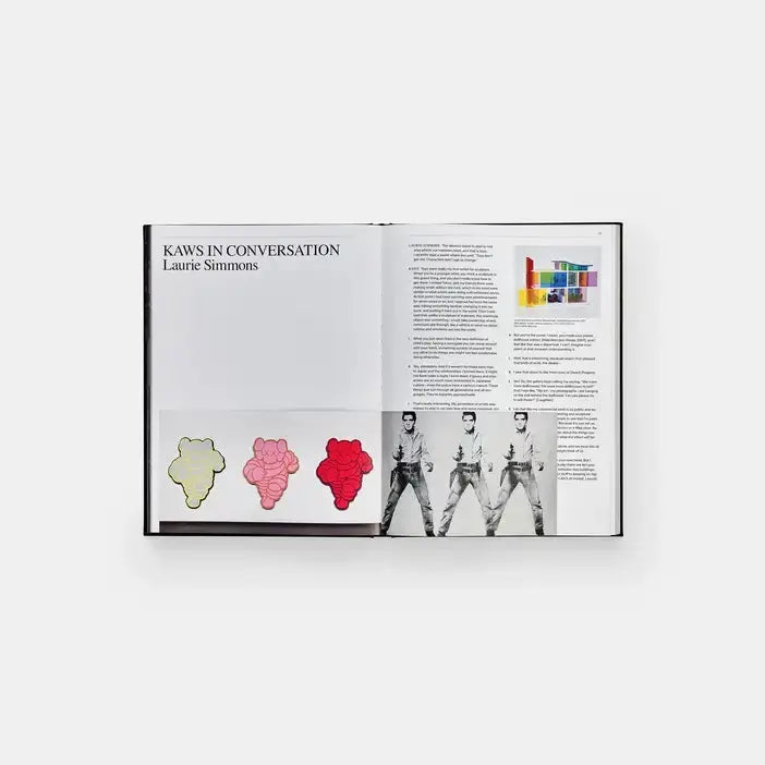 Kaws + Warhol Phaidon