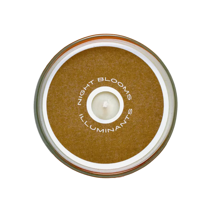 Prickly Wild Rose 8 oz. Candle Night Blooms Goods