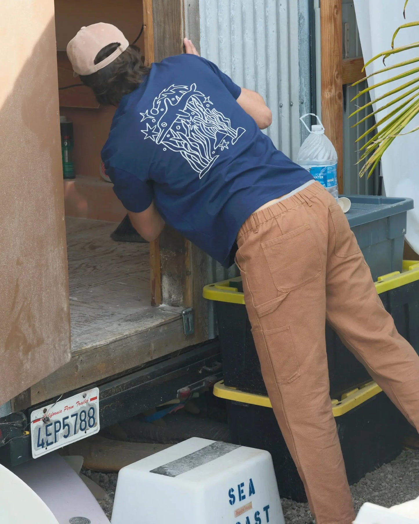 New Dolphin Energy Tee Mollusk