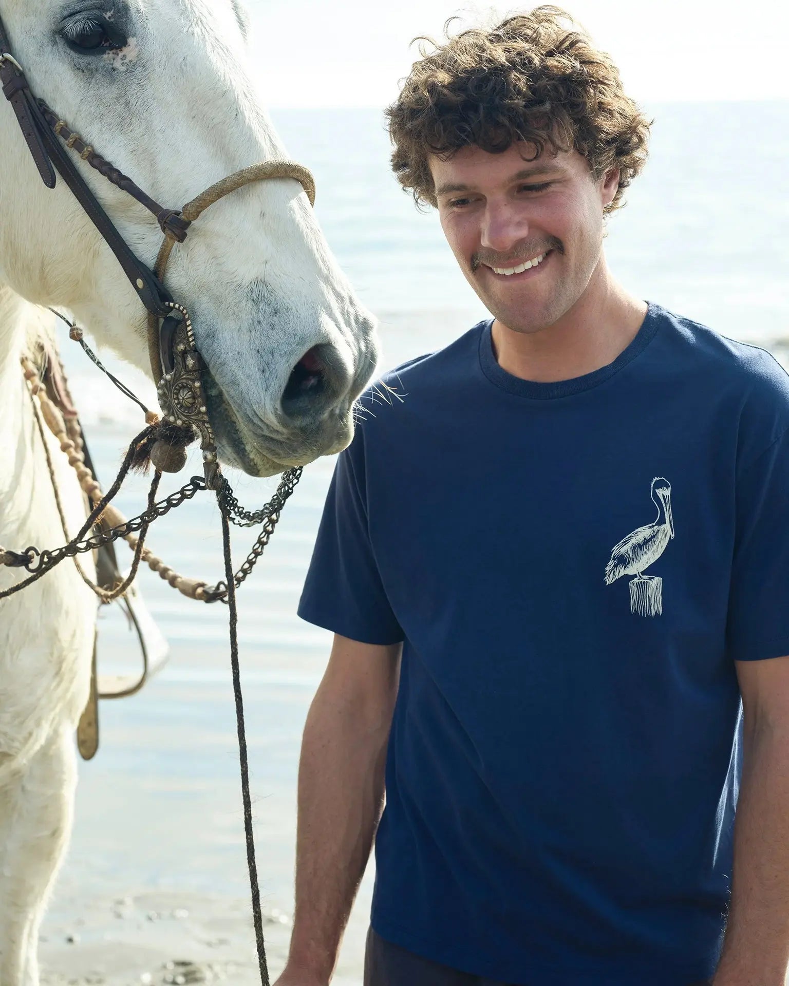 New Pelican Tee Mollusk
