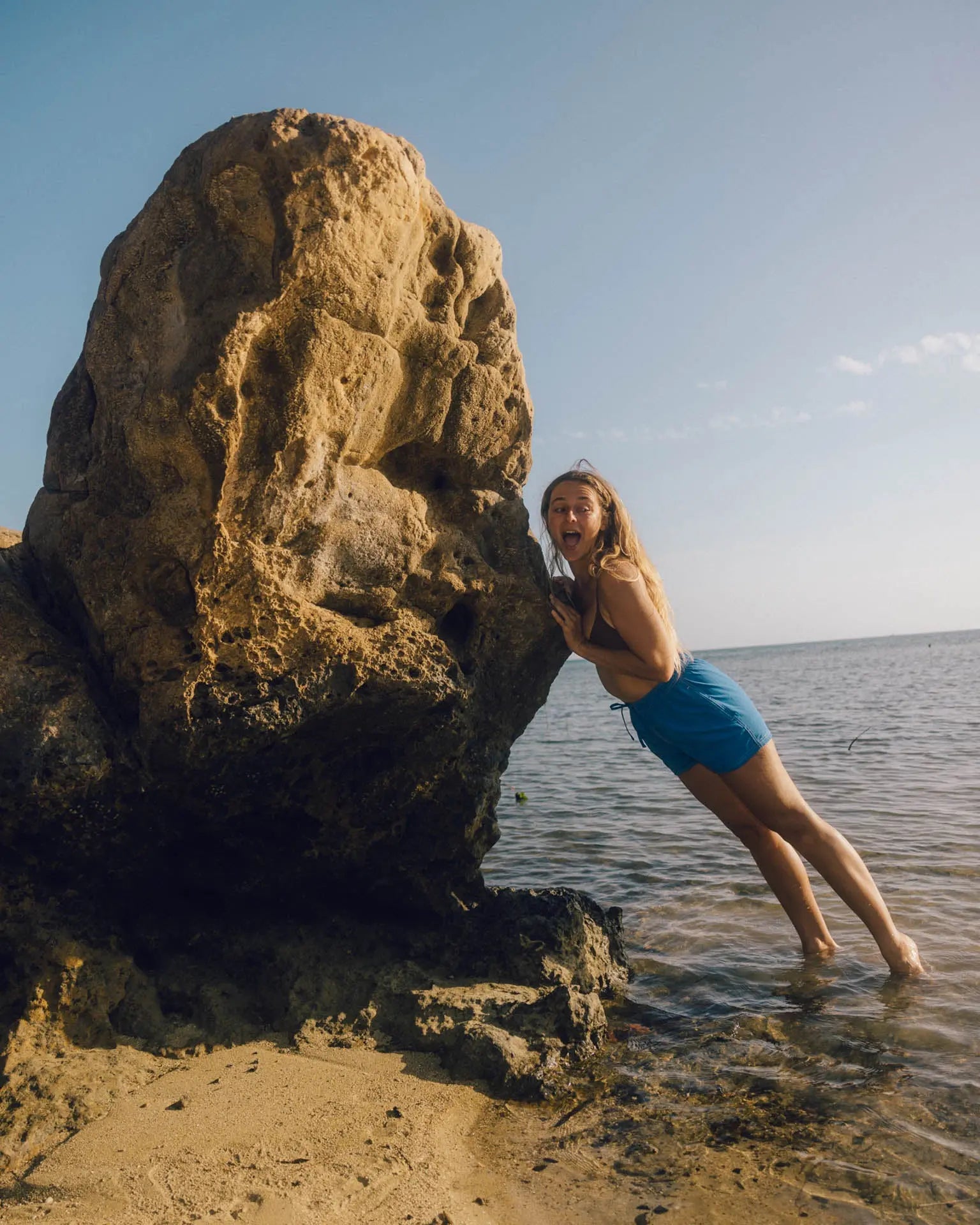 Tube Trunks Mollusk
