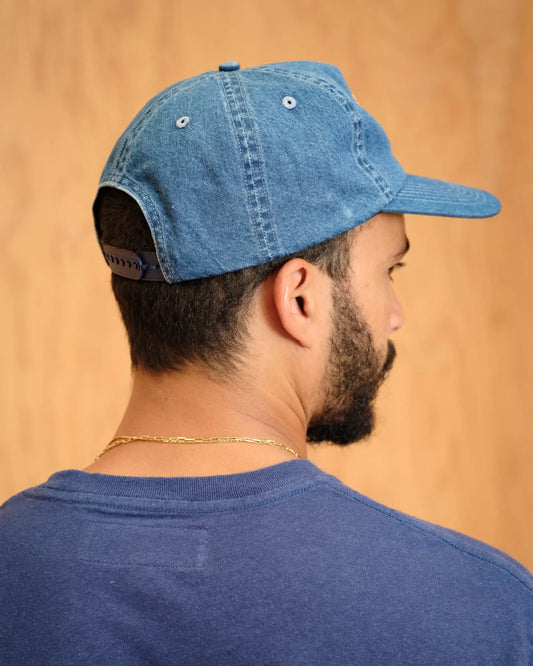 Volta Hat Mollusk