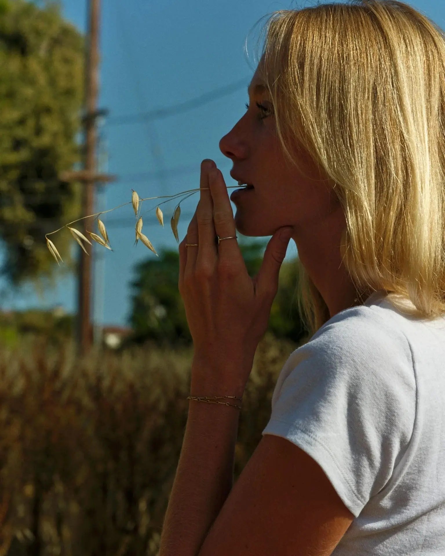 Cloudbreak Tee Mollusk