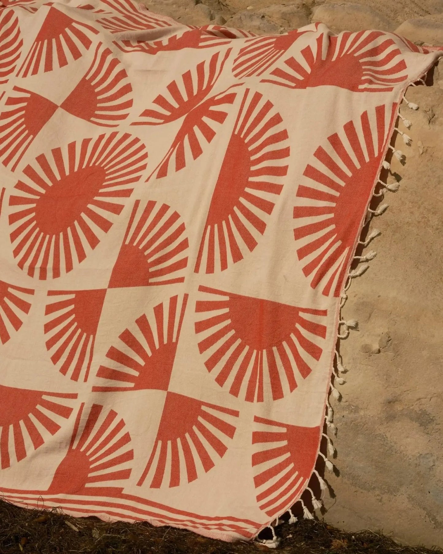 Sunrise Turkish Blanket Mollusk