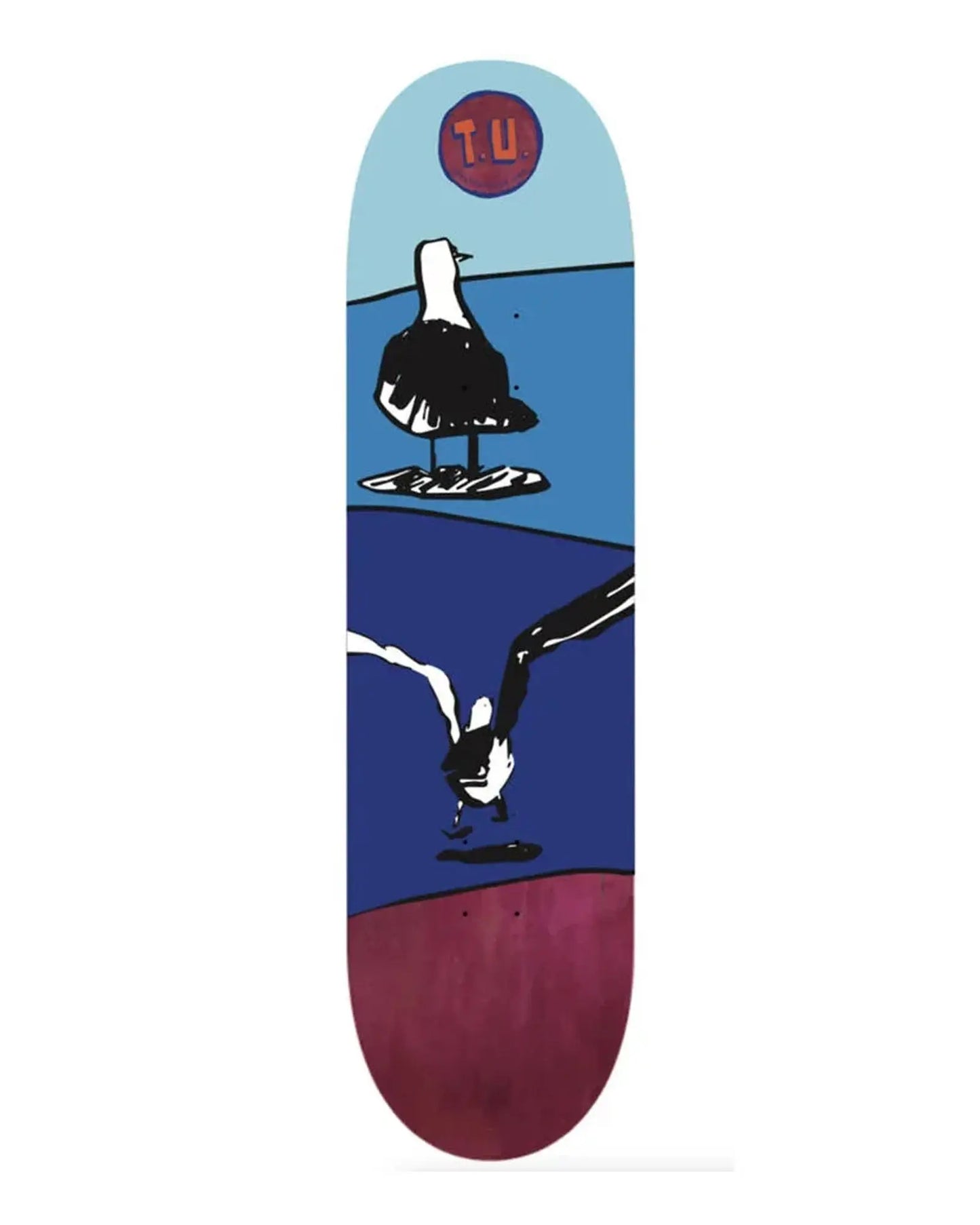 Gulls Skate Deck Transportation Unit